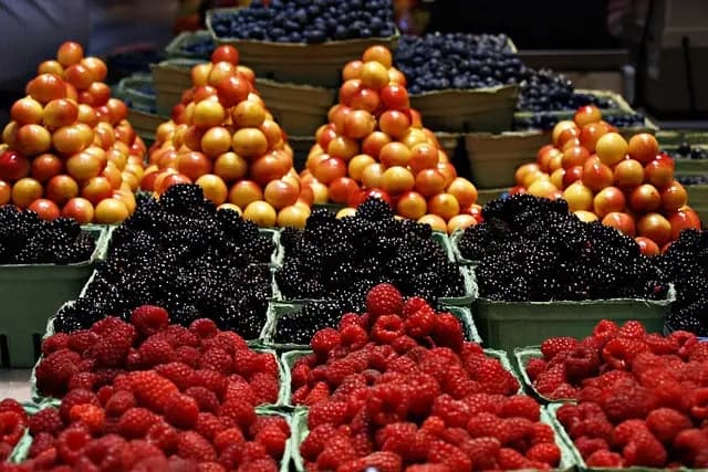 Comment Économiser Sur Vos Courses Alimentaires : 10 Astuces Pratiques
