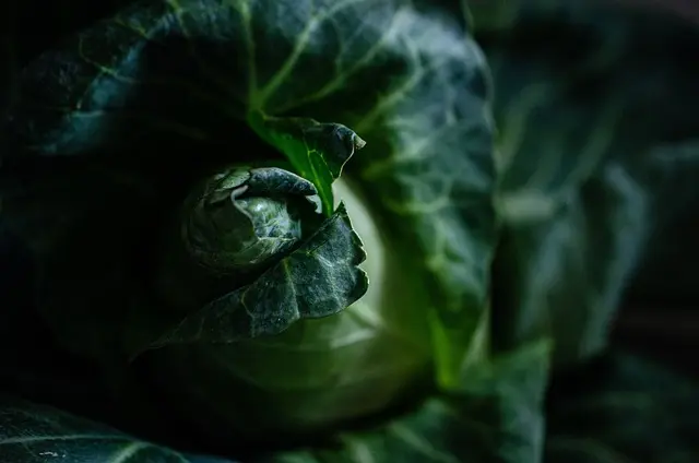 5 Astuces Simples pour Économiser sur vos Achats Alimentaires