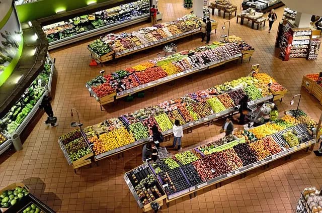 Comment économiser sur vos courses avec des repas de saison