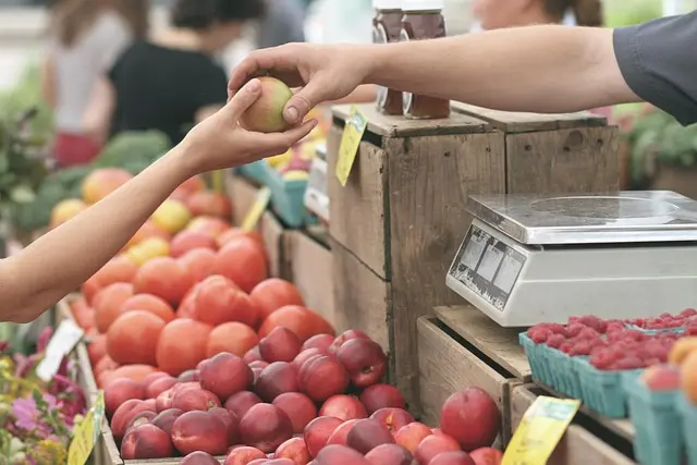 5 Astuces Pratiques pour Économiser Sur Votre Budget Alimentaire
