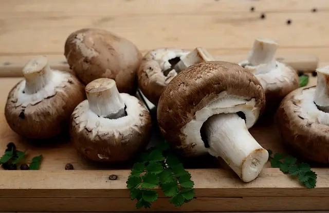 10 Astuces Simples pour Économiser au Quotidien