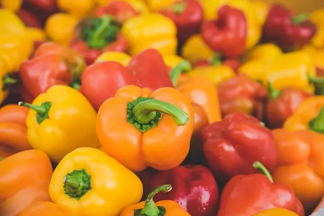 Comment Économiser sur Vos Dépenses Alimentaires : 10 Astuces Pratiques