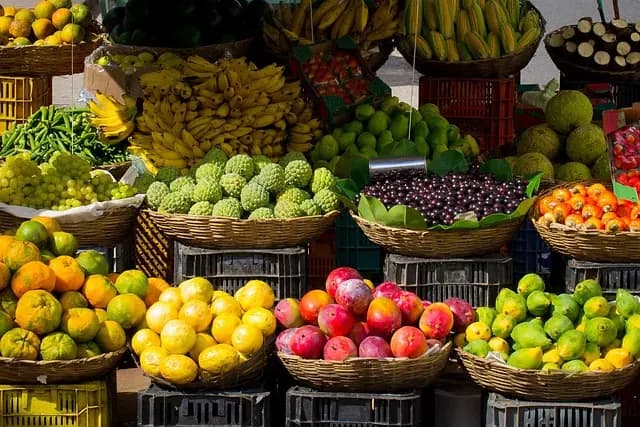 Comment Économiser Sur Vos Dépenses Alimentaires : 7 Astuces Pratiques