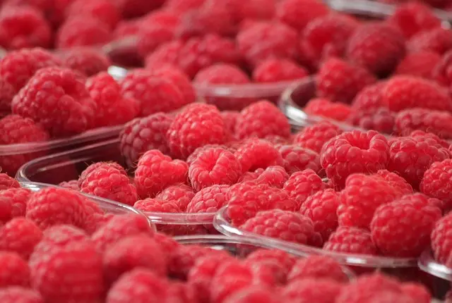 Comment Économiser Sur Vos Dépenses Alimentaires : 10 Astuces Pratiques
