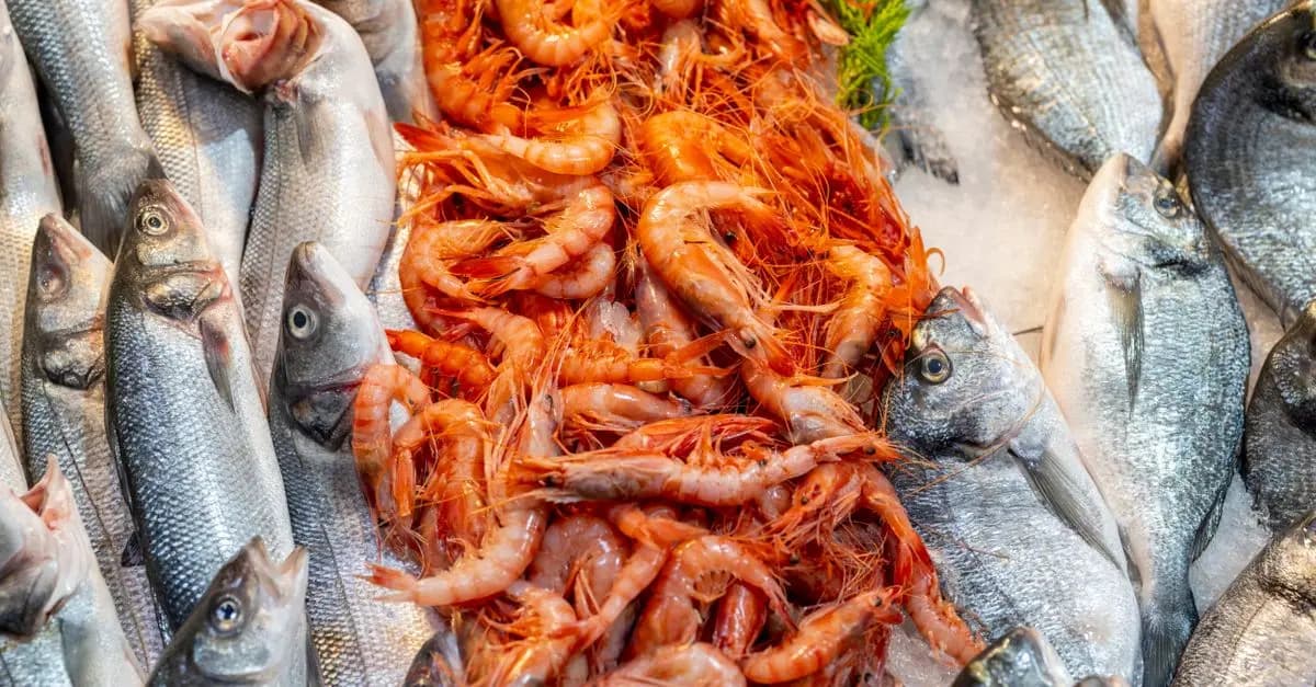 Comment Économiser sur Vos Dépenses Alimentaires : 5 Astuces Efficaces