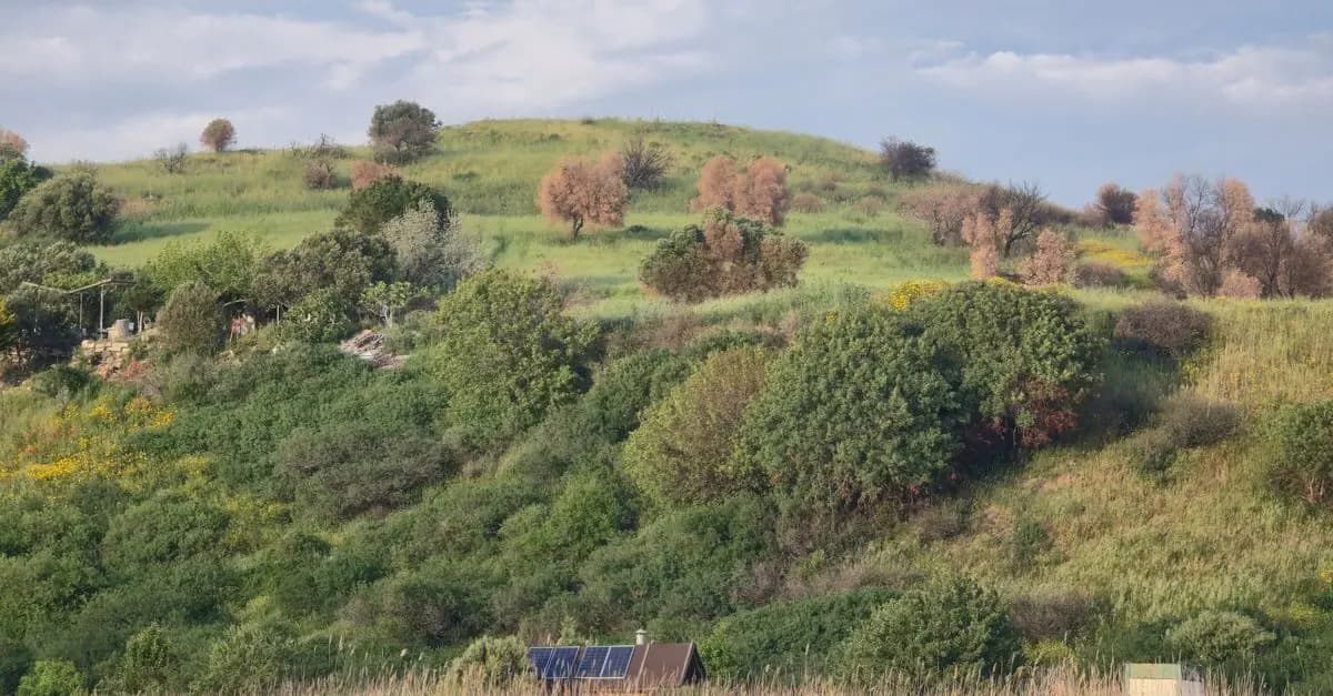 Optimiser sa Maison pour Économiser de l'Énergie