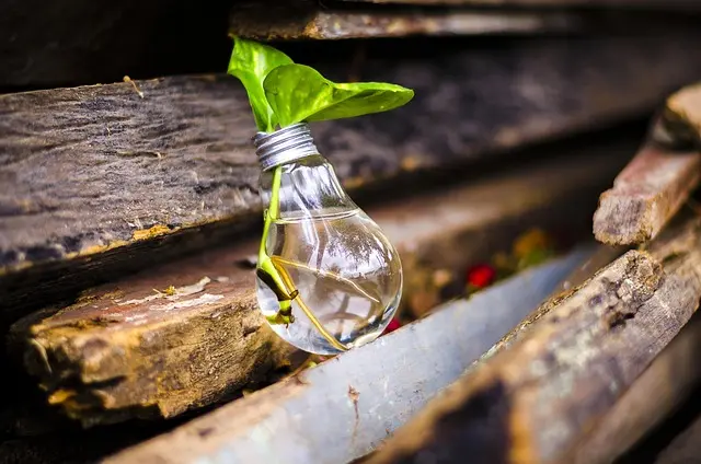 Comment Économiser en Réutilisant des Objets : 10 Astuces Pratiques