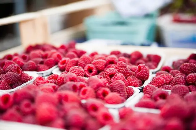 Comment Économiser sur vos Dépenses Alimentaires avec 7 Astuces Pratiques