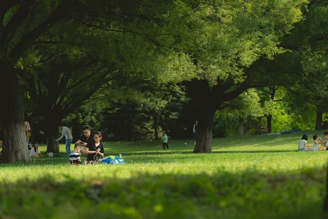 Comment Économiser sur Vos Vacances : 10 Astuces Efficaces