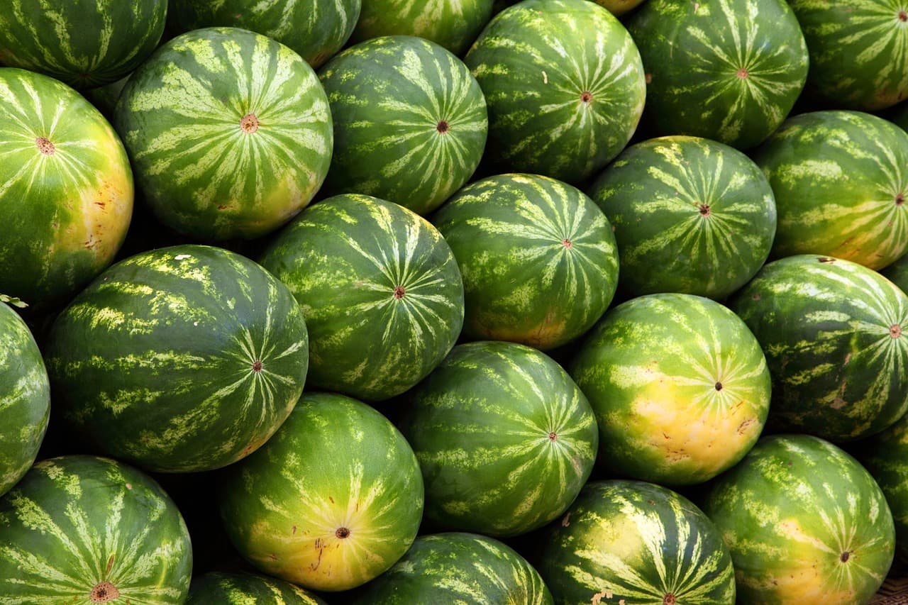 Comment Économiser Facilement sur vos Dépenses Alimentaires