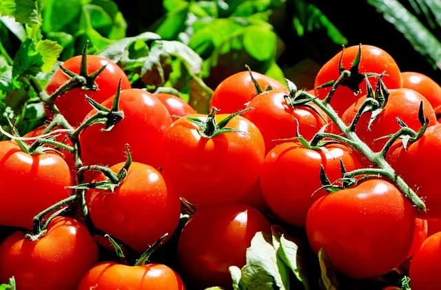 7 Astuces Efficaces pour Économiser sur votre Alimentation