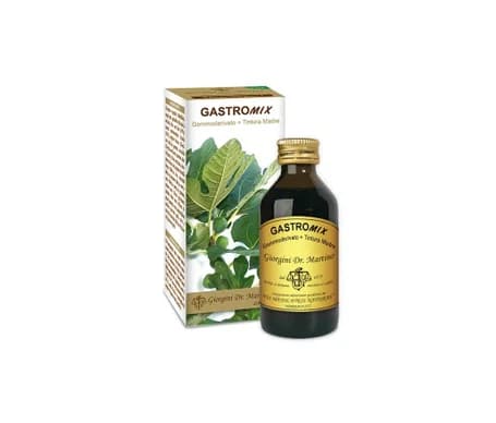 GASTROMIX LIQUIDE ANALC 100ML